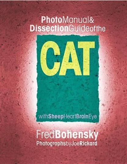 Cat, Fred Bohensky - Paperback - 9780757000317