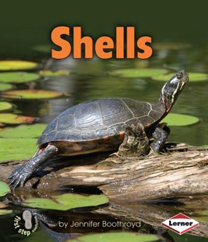 Shells, Jennifer Boothroyd - Paperback - 9780761378303