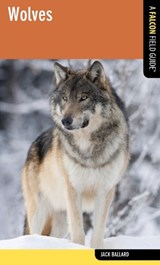 Wolves - Jack Ballard - 9780762782352