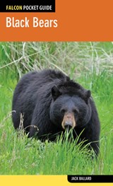 Black Bears - BALLARD,  Jack - 9780762784936