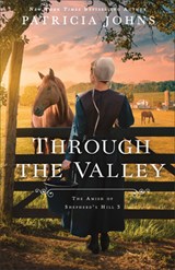 Through the Valley - Patricia Johns - 9780764244193