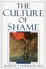 The Culture of Shame - Andrew P. Morrison - 9780765701749
