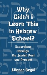 Why Didn't I Learn This in Hebrew School? - Eliezer Segal - 9780765760760