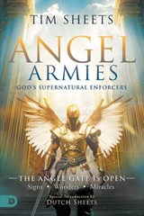 Angel Armies: God's Supernatural Enforcers - Tim Sheets - 9780768477405