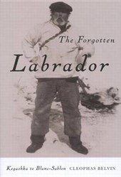The Forgotten Labrador