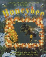 The Life Cycle of a Honeybee - KALMAN,  Bobbie - 9780778706946