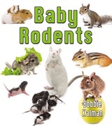 Baby Rodents - Bobbie Kalman - 9780778710141