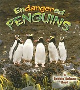 Endangered Penguins - Robin Johnson - 9780778719090