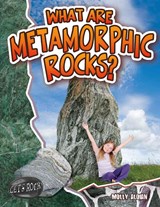 What Are Metamorphic Rocks? - Molly Aloian - 9780778772347