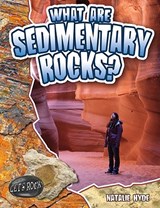 What Are Sedimentary Rocks? - HYDE,  Natalie - 9780778772354