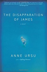 The Disapparation of James - Anne Ursu - 9780786886630