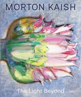 Morton Kaish - David Ebony - 9780789215369