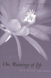 On Meanings of Life