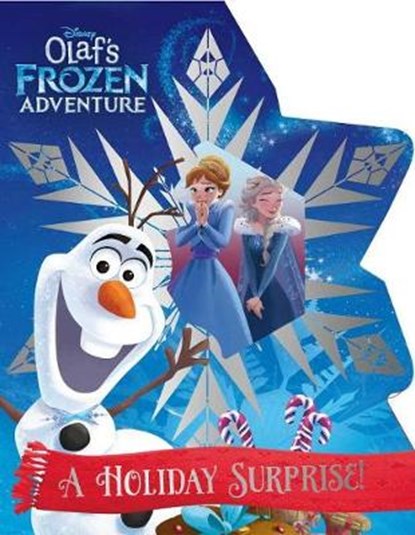 A Holiday Surprise!, ROTH,  Megan - Gebonden - 9780794440831