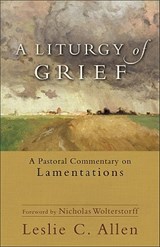 A Liturgy of Grief – A Pastoral Commentary on Lamentations - Leslie C. Allen ; Nicholas Wolterstorff - 9780801039607