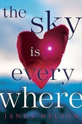 The Sky Is Everywhere - NELSON,  Jandy - 9780803734951