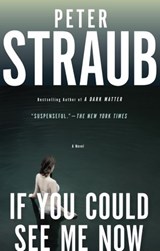 If You Could See Me Now - Peter Straub - 9780804172868