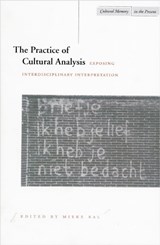 The Practice of Cultural Analysis - Mieke Bal - 9780804730662