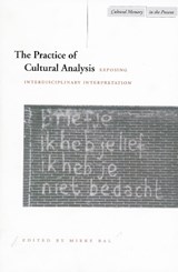 The Practice of Cultural Analysis - Mieke Bal - 9780804730679