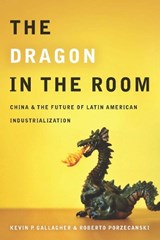 The Dragon in the Room - Kevin Gallagher ; Roberto Porzecanski - 9780804771887
