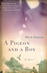 A Pigeon and a Boy - Meir Shalev - 9780805242683