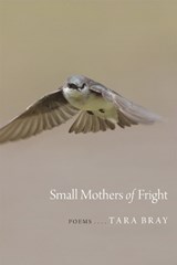 Small Mothers of Fright - BRAY,  Tara - 9780807161661