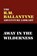Away in the Wilderness, BALLANTYNE,  R. M. - Paperback - 9780809550876