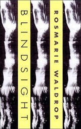 Blindsight - WALDROP,  Rosmarie - 9780811215596