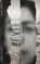 Minor Detail, Adania Shibli - Paperback - 9780811229074