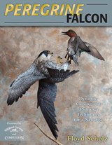 Peregrine Falcon - SCHOLZ,  Floyd - 9780811714068