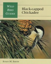 Black-Capped Chickadee