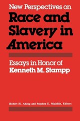 New Perspectives on Race and Slavery in America - Robert H. Abzug ; Stephen E. Maizlish - 9780813150833
