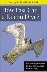 How Fast Can A Falcon Dive? - Peter Capainolo ; Carol A Butler - 9780813547909