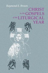 Christ in the Gospels of the Liturgical Year - Ronald D. Witherup - 9780814618608