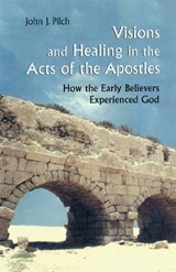 Visions and Healing in the Acts of the Apostles - PILCH,  John J. - 9780814627976