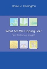 What Are We Hoping For? - HARRINGTON,  Daniel J. - 9780814631614
