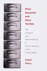 More Beautiful and More Terrible - Imani Perry - 9780814767368