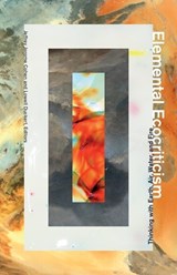 Elemental Ecocriticism - Jeffrey Jerome Cohen ; Lowell Duckert - 9780816693092