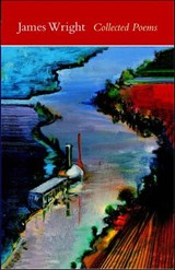 Collected Poems - Joseph Ceravolo - 9780819573421