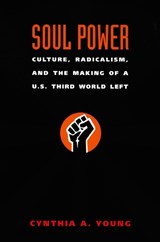 Soul Power - Cynthia A. Young - 9780822336914