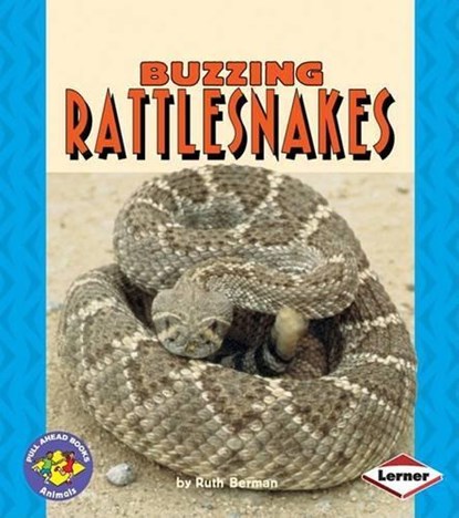 Buzzing Rattlesnakes, BERMAN,  Ruth - Paperback - 9780822536093