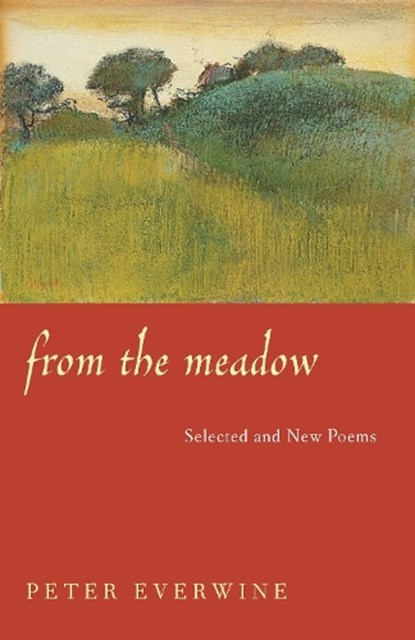 From the Meadow, Peter Everwine - Paperback - 9780822958444