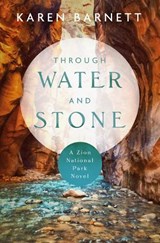 Through Water and Stone - Karen Barnett - 9780825448539