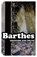 Criticism and Truth, Roland Barthes - Paperback - 9780826477071