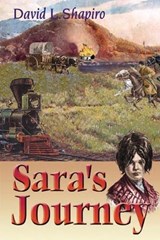 Sara's Journey - David L. Shapiro - 9780827607767