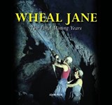 Wheal Jane - PECK,  John - 9780857040954