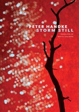 Storm Still - Peter Handke - 9780857425584
