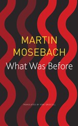 What Was Before - Martin Mosebach - 9780857427182