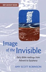 Image of the Invisible - Amy Scott Robinson - 9780857467898