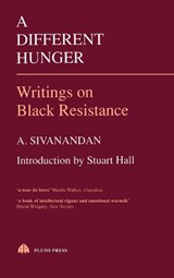 A Different Hunger - A. Sivanandan - 9780861043712